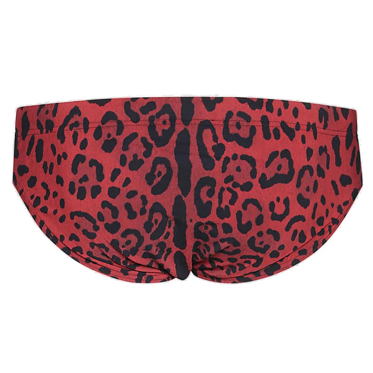Dolce & Gabbana Leopard-Printed Swim Briefs
