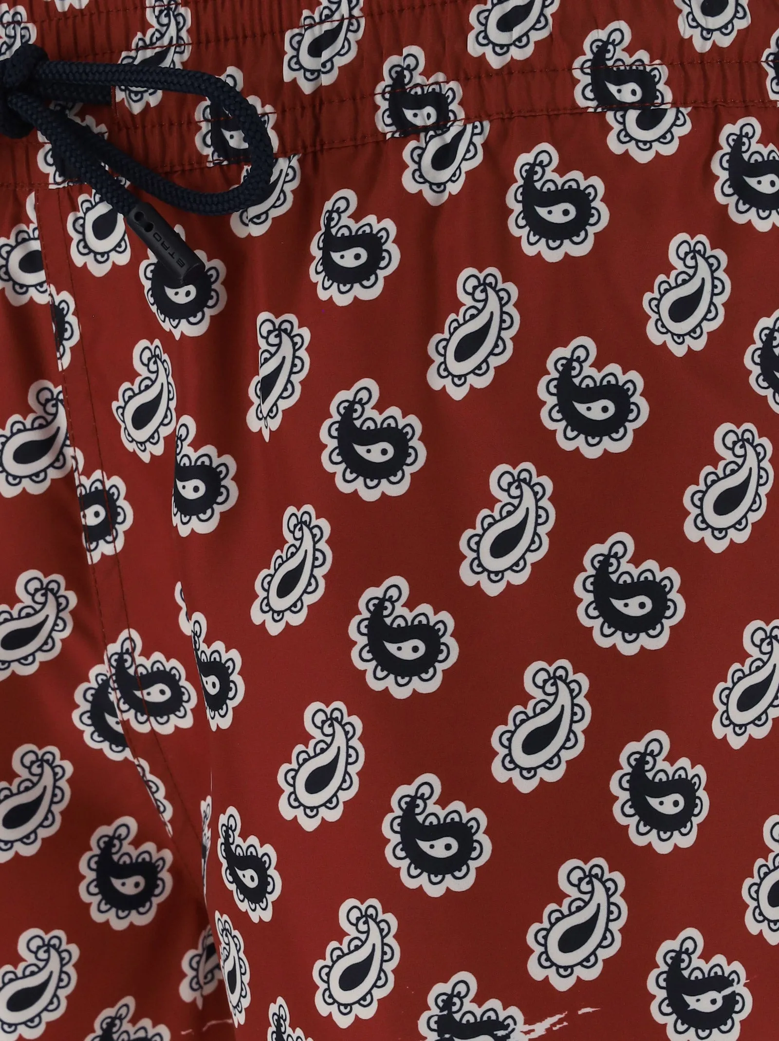 Etro Paisley Paisley Printed Drawstring Swim Shorts