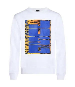 Just Cavalli Graphic Print Crewneck Sweater